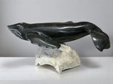 Baleine bleue 13 pouces par Dale Ford *Colossus*