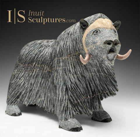 14" SIGNATURE Muskox par Lucassie Ikkidluak *Plein de cœur*