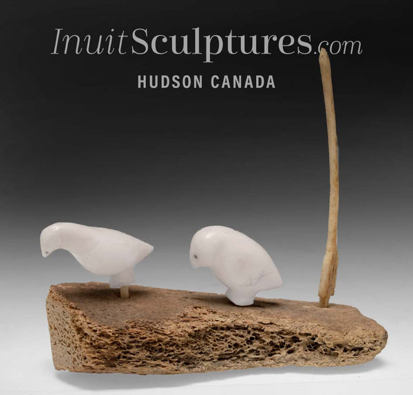 VINTAGE 3" Ptarmigans sur la banquise par Samyuallie Tabo *Vous d'abord*