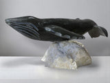Baleine bleue 13 pouces par Dale Ford *Colossus*