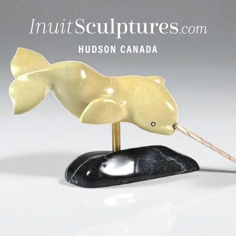 Narval SIGNATURE 11” par Toonoo Sharky *Excalibur* À PORTÉE DE MAIN$$