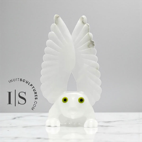 Chouette 14" par Toonoo Sharky *White Cliff*