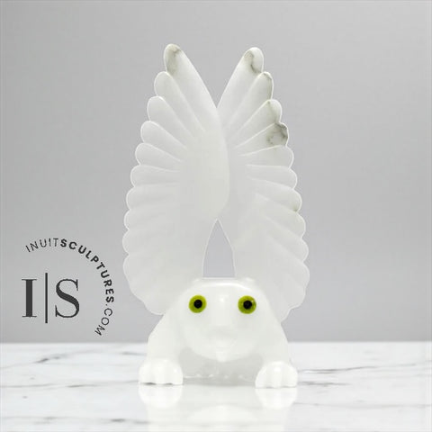 Chouette 14" par Toonoo Sharky *White Cliff*