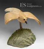 Oiseau en vol de 5 pouces par Kelly Etidloie *Breezy Days*