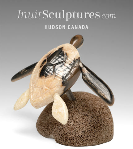 Tortue de mer de 15 cm par Harrison Miklahook Jr. *Sagesse ancienne*