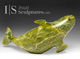 Baleine béluga de 5 pouces par Pits Qimirpik *Voyager* PIÈCE D'EXPOSITION 14 AOÛT