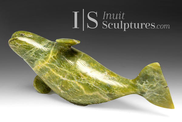 Baleine béluga de 5 pouces par Pits Qimirpik *Voyager* PIÈCE D'EXPOSITION 14 AOÛT