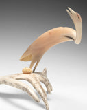 14" Muskox Horn Crane with Egg  by Buddy Alikamik *Expectant*