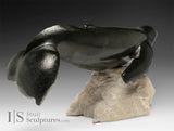 Baleine bleue 13 pouces par Dale Ford *Colossus*
