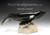 Baleine bleue 13 pouces par Dale Ford *Colossus*