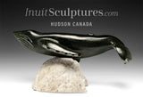 Baleine bleue 13 pouces par Dale Ford *Colossus*