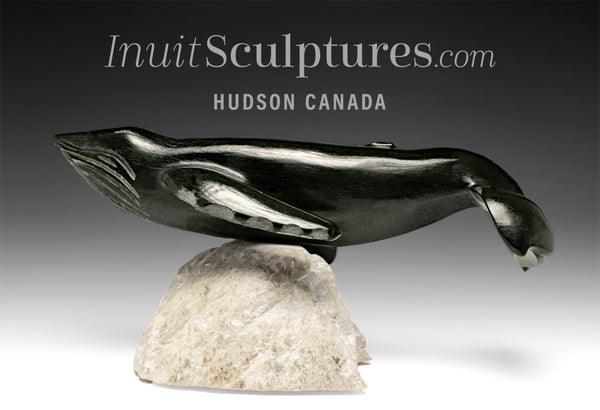 Baleine bleue 13 pouces par Dale Ford *Colossus*
