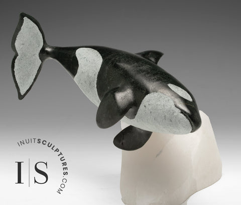 8" SIGNATURE Orca by Derrald Taylor *Catch me if you can*