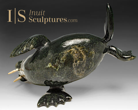 Morse plongeur de 25 cm par Matiusi Kingwatsiaq *Sparky*