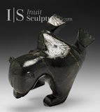 Ours plongeur de 8 pouces par Moe Pootoogook *Entraînement*