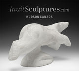 Ours qui court 8 pouces par Esau Kripanik *Coup de pouce*