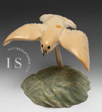 Oiseau en vol de 5 pouces par Kelly Etidloie *Breezy Days*