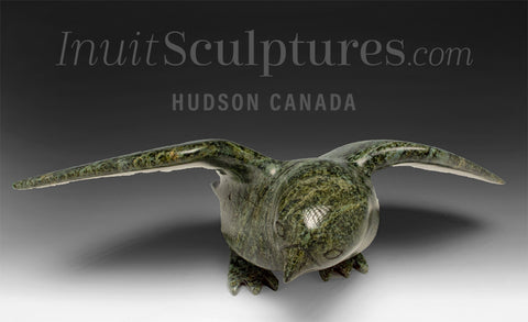 Hawk SIGNATURE 11" par Killiktee Killiktee *Green Hawk Down*