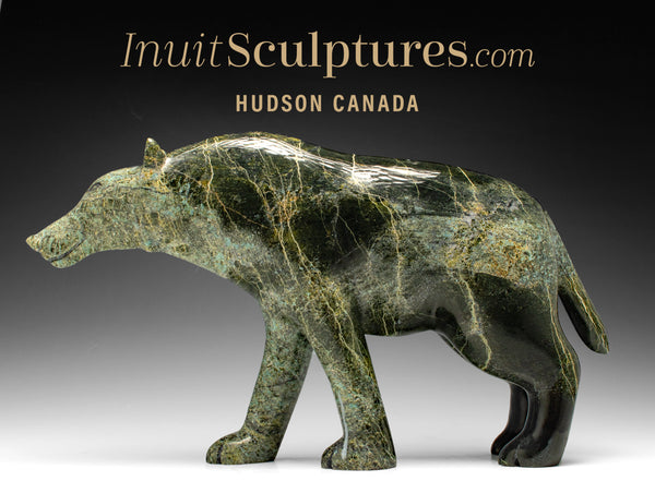 Loup 15" de Matt Flaherty *Apollo*