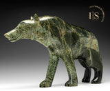 Loup 15" de Matt Flaherty *Apollo*
