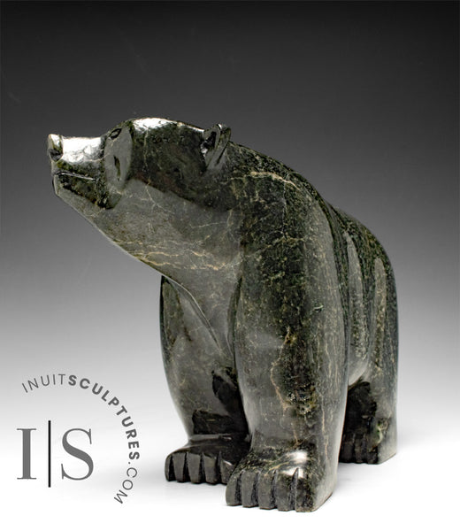 Ours qui marche 12" par Moe Pootoogook *Yogi Bear*