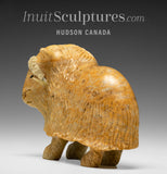 6" Muskox by Peter K. *Little Warrior*