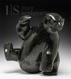 Ours assis SIGNATURE 18" par Nuna Parr *Mellow*