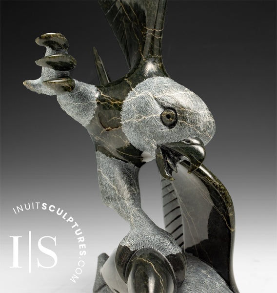 Aigle de 11 pouces avec poisson par Pits Qimirpik *Remuez la queue* DERNIER AIGLE