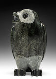 8" SIGNATURE Owl RARE Grey Stone by Pits Qimirpik *Brigadier*
