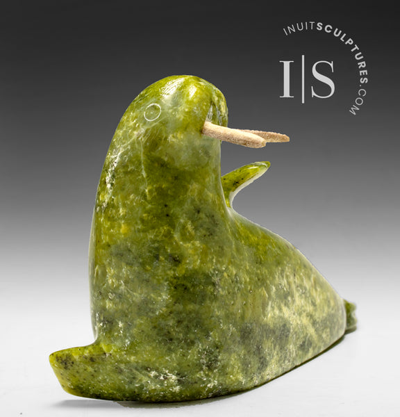 Seal by Koochie Kolola from Kimmirut Inuit Art Inuit Sculptures Art