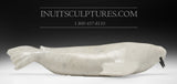 Morse 14" avec défenses noires par Emataluk Saggiak *Toothy*