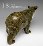 Ours marchant SIGNATURE 13" par Tim Pee *Callisto*