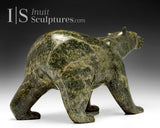 11" SIGNATURE Walking Bear par Tim Pee *Contre le vent*