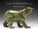 11" SIGNATURE Walking Bear par Tim Pee *Contre le vent*