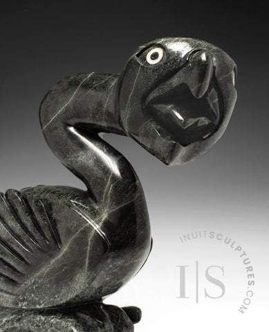 Oiseau dansant SIGNATURE 25" par Toonoo Sharky *Lionheart*