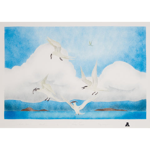 DERNIÈRE IMPRESSION / VINTAGE Arctic Birds par Andrew Karppiq 1999