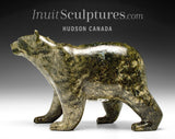 11" SIGNATURE Walking Bear par Tim Pee *Contre le vent*
