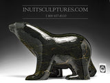 Ours ambulant noir frappant de 16 po par Ashevak Adla