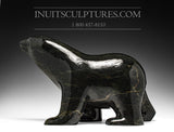 Ours ambulant noir frappant de 16 po par Ashevak Adla