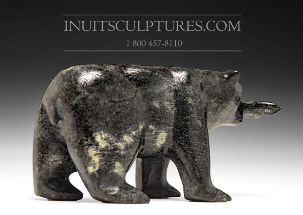 Ours souriant avec poisson 7" par Lyta Josephie *Lunchtime*