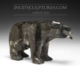 Ours souriant avec poisson 7" par Lyta Josephie *Lunchtime*