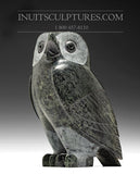 Grande chouette grise de 9 po par Pitseolak Qimirpik