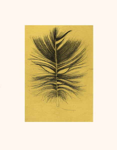 Plume 2022 par PADLOO SAMAYUALIE