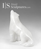 Renard arctique hurlant de 7 pouces Gjoa Haven Louie Uttaq