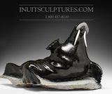 Morse H&R 22" par le célèbre Jaco Ishulutak