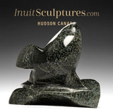 8" SIGNATURE Orque par Johnnysa Mathewsie *Spyhopping*