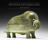 14" SIGNATURE Muskox par feu Joamie Ipeelee *Puissant Calme*