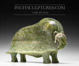 14" SIGNATURE Muskox par feu Joamie Ipeelee *Puissant Calme*