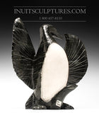 Oiseau de Guillemot 13" par Kellypalik Etidlooie