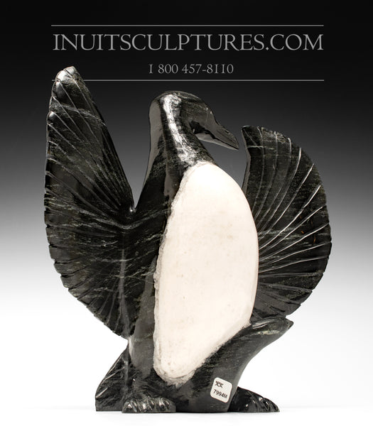 Oiseau de Guillemot 13" par Kellypalik Etidlooie